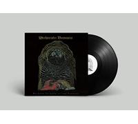 Wrekmeister Harmonies We Love to Look at the Carnage (Vinyl) 12" Album