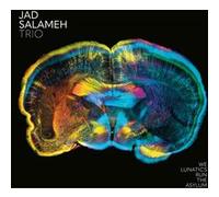 We Lunatics Run The Asylum