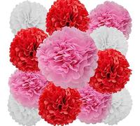 We Moment Zone Pompons en Papier de Soie, 12 Pièces, Fleur Pompon Rouge Rose Blanc, Boule de Fleur en Papier pour Fête et Mariage