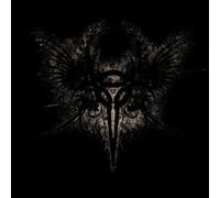 We The Fallen