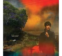 Sharon Van Etten - We've Been Going About This All Wrong (LP)