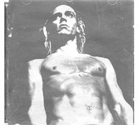 we Will Fall-Iggy Tribute [Import]