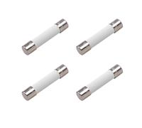 WE1X21975 Fusible en céramique 30 A 250 V pour sèche-linge compatible avec fusible thermique GE Hotpoint, remplacement pour pièce thermostatique fusibles en céramique 14QBP30CFB 4248223 AP5957584