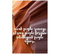 Weak People Revenge, Strong People Forgive, Intelligent People Ignore,: Great Leaders Boxed Calendar Inspirational Quotes