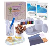 Wealike Kit de Départ pour Poudre de Coulée, Ensemble de Poudre de Coulée DIY en Céramique pour Adultes, Contient du plâtre pour couler 1360g, Moules en Silicone, Couleurs de Base, Papier de Verre