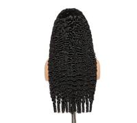 Wear and Go-Perruque bou birmane sans colle, cheveux humains avec boucles en spirale, extrémité en dentelle HD, densité 300, for femmes Hair Extensions Pièces Wigs(Black-13x4lace,16inch)