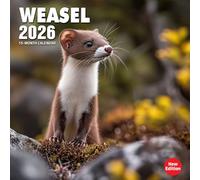 Weasel 2026 Calendar: Agile predators captured in stealthy forest scenes
