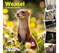 Weasel 2026 Calendar: Agile predators captured in stealthy forest scenes
