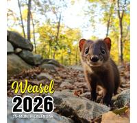 Weasel 2026 Calendar: Agile predators captured in stealthy forest scenes