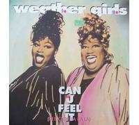 Weather Girls - Can you feel it