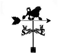 Weather Va ne Weathercock Indicateur de direction soufflé en acier inoxydable pour toit extérieur ferme cour décoration