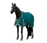 Weatherbeeta 2025 Comfitec Plus Dynamic II Detach-A-Neck Lite 1006913 - Teal Green/Stone/Teal Green Rug Size - 6ft