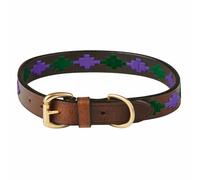 Weatherbeeta - Collier pour chiens (WB1600)