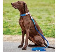 Weatherbeeta Dog Collar Bleu Très petit Unisex