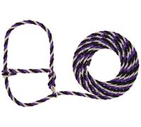 Weaver Cuir bétail Stierwalt Breaking Halter, Violet/Noir/Gris