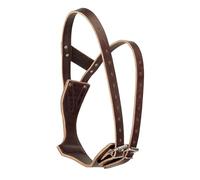 Weaver Cuir Miracle Collier en boîte de présentation, Havana, Moyen