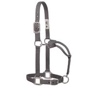 Weaver Leather 35-7376-GH Licol réglable Original en Nylon avec matériel chromé, raphite, Grand Cheval de 2,5 cm