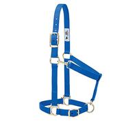 Weaver Leather Licol Basique Ajustable en Nylon, 2,5 cm de Largeur, pour Grand Cheval, Bleu
