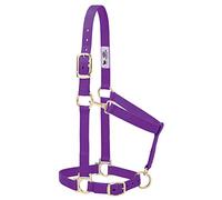 Weaver Leather Licol Basique Ajustable en Nylon, 2,5 cm de Largeur, pour Grand Cheval, Violet