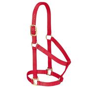 Weaver Leather Licol Basique Non réglable en Nylon pour Cheval de Taille Moyenne, 2,5 cm, Rouge
