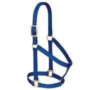 Weaver Leather Licol Basique Non réglable en Nylon pour Petit Cheval, 2,5 cm, Bleu