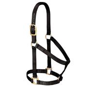 Weaver Leather Licol Basique Non réglable en Nylon pour Petit Cheval, 2,5 cm, Noir