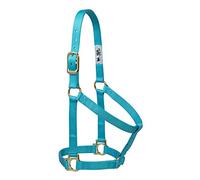 Weaver Leather Licol Basique Non réglable en Nylon pour Petit Cheval, 2,5 cm, Turquoise