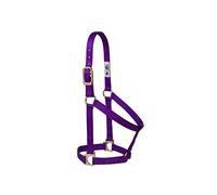 Weaver Leather Licol Basique Non réglable en Nylon pour Petit Cheval, 2,5 cm, Violet
