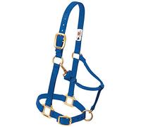 Weaver Leather Licol de Cheval réglable en Nylon, Bleu, Arabe/COB