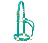 Weaver Leather Licol de Cheval réglable en Nylon Vert émeraude