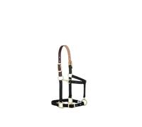 Weaver Leather Licol réglable en Nylon pour Cheval, Animal sevré/Poney, Noir