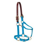 Weaver Leather Licol réglable en Nylon pour Cheval, Taille L, Bleu (Hurricane Blue)