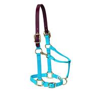 Weaver Leather Licol réglable en Nylon pour Cheval, Taille L, Bleu (Hurricane Blue)