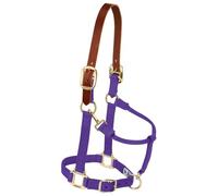 Weaver Leather Licol réglable en Nylon pour Cheval, Taille L, Violet