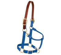 Weaver Leather Licol réglable en Nylon pour Cheval, Taille S, Bleu