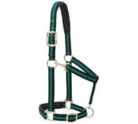 Weaver Leather Licol rembourré réglable en Nylon pour Cheval Vert 2,5 cm