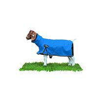 Weaver Leather Livestock ProCool Couverture en Maille avec Passepoil réfléchissant Bleu Taille S