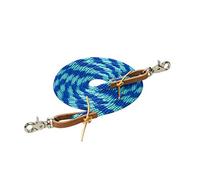 Weaver Leather Rêne en Poly Corde, 1,6 cm x 2,4 m, Bleu (Dazzling Blue)/Turquoise