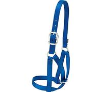 Weaver Licol en Cuir pour Grange, Femme, 35-8005-BL, Bleu, L