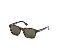 Web Homme WE0385 55N Lunettes de soleil Acétate Havane Vert Carré Normale