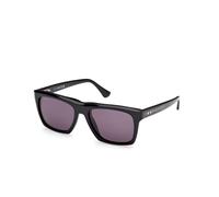 Web Homme Web WE0350 05A Lunettes de soleil Acétate Noir Fumée Carré Normale