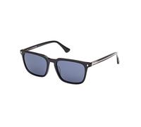 Web Homme Web WE0369 01V Lunettes de soleil Acétate Noir Bleu Carré Normale