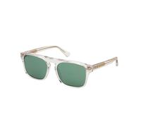 Web Homme Web WE0373 26N Lunettes de soleil Acétate Transparent Vert Carré Normale