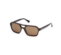 Web Homme Web WE0376 50E Lunettes de soleil Acétate Marron Marron Carré Normale