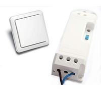 WeBaSo Intertechno YWT-8500 Module d'ouverture de porte sans fil avec émetteur mural sans fil - Complément pour ouvre-porte électrique existant (nécessite un ouvre-porte déjà existant)