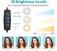 Webcam Wall Mount with 10.2"" Ring Light Compatible with Logitech C920s StreamCam C922x C930 C925e Brio C615 Webcams (Max Load 0.5kg,Maximum Extendable Length 83cm)
