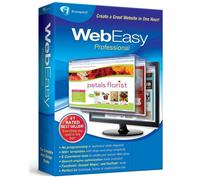 WebEasy Professional 10, English