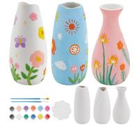 WEBEEDY 3 Tailles Kit de Peinture de Pots en Céramique Peinture de Vases en Céramique Projet d'Artisanat d'Art pour Adultes Débutant Kit de Décoration de Vases en Porcelaine pour Bureau Cadeau de Noël