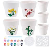 WEBEEDY 4 Ensembles Kit de Peinture de Pots Succulents en Céramique DIY pour Adultes Kit de Pots de céramique de Bricolage débutant avec pochoirs de Fleurs de Papillons, Peinture, pinceaux, palettes