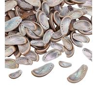 WEBEEDY 40 PCS Coquilles D'Âne Verte Naturelle D'Oreille D'Abalone Coquilles D'Huître Naturelles 5-7cm Coquilles D'Oreille D'Abalone Vertes Polies Naturelles Accessoires de Décoration pour la Maison